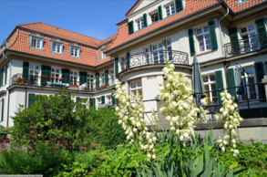 Diakoniehaus_Frankfurt
